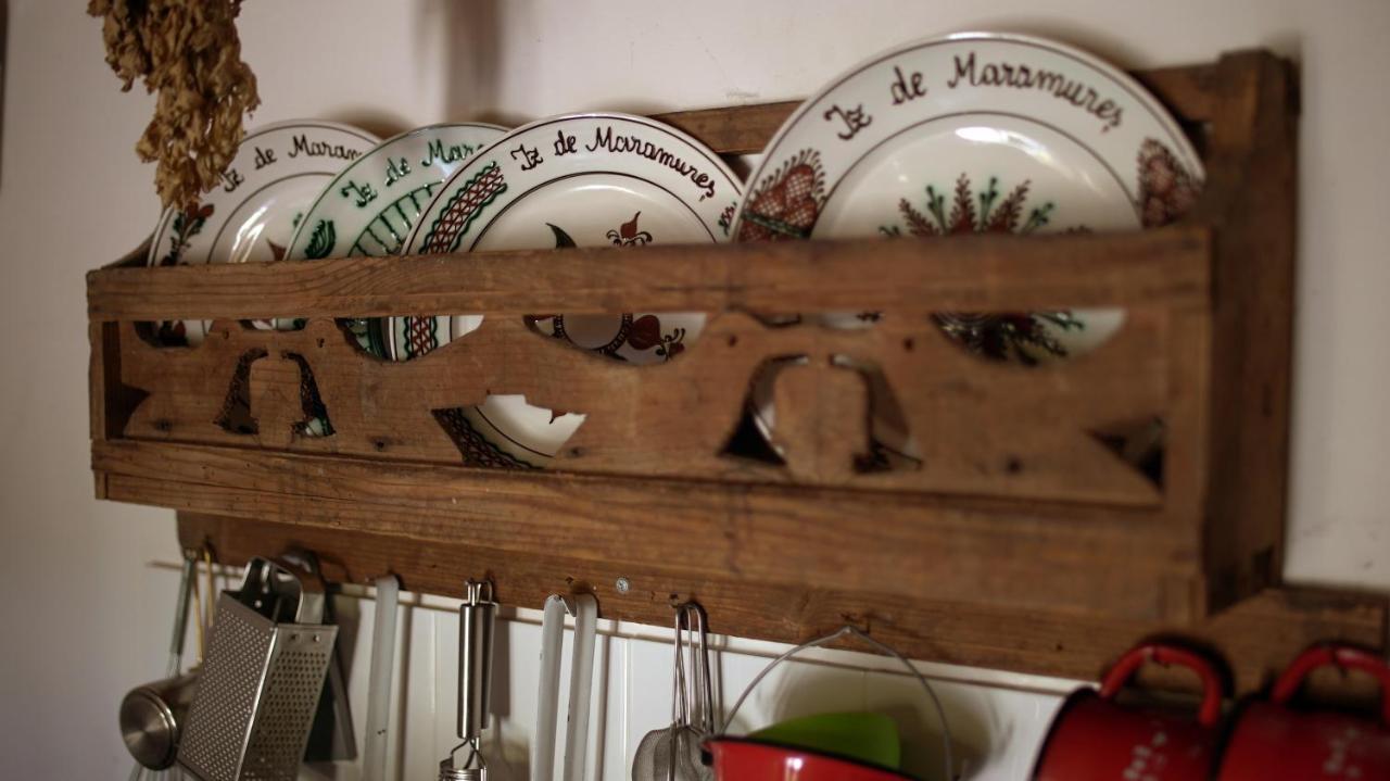 Iz De Maramures Rural Hotel (Adults Only) Surdesti  Εξωτερικό φωτογραφία