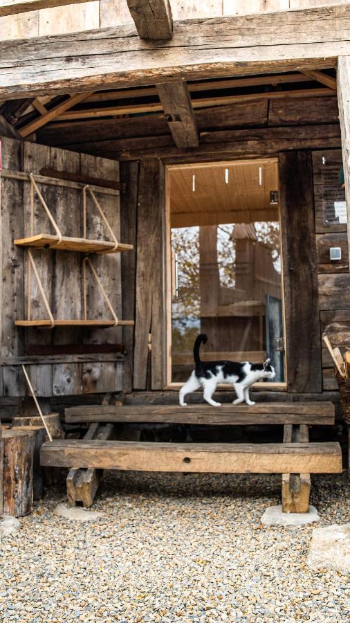 Iz De Maramures Rural Hotel (Adults Only) Surdesti  Εξωτερικό φωτογραφία